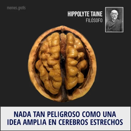 Nada tan peligroso como una idea amplia en cerebros estrechos - Hippolyte Taine, filósofo.