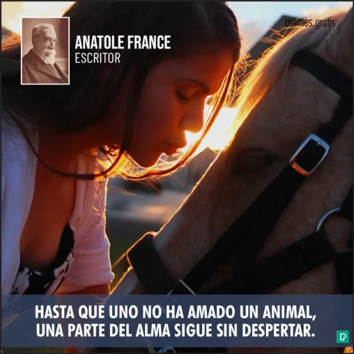Chica joven besa caballo