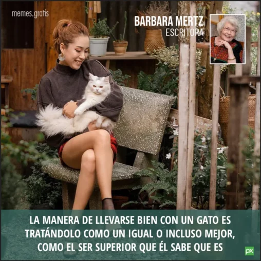 Mujer joven sentada con gato en brazos lo mira